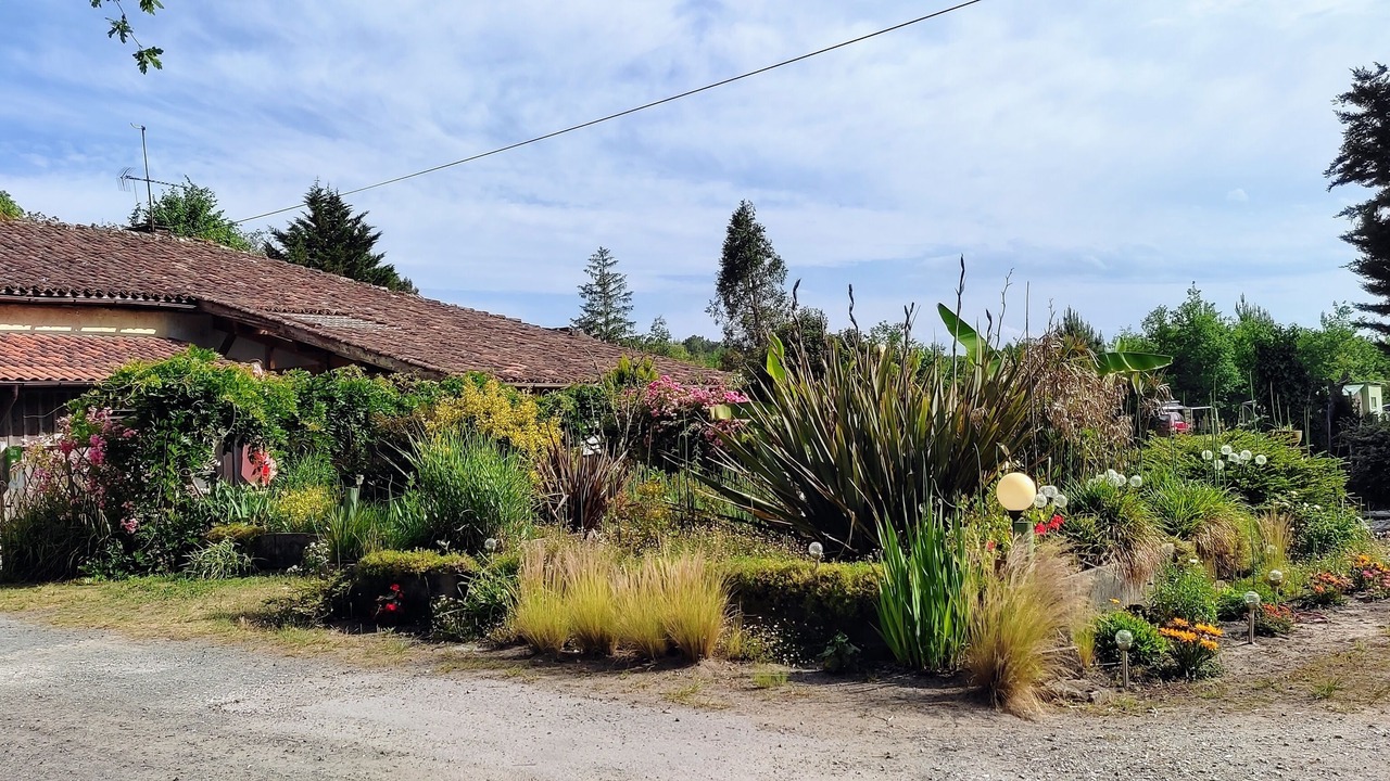 Photo of Outdoor in Saint-Michel-Escalus