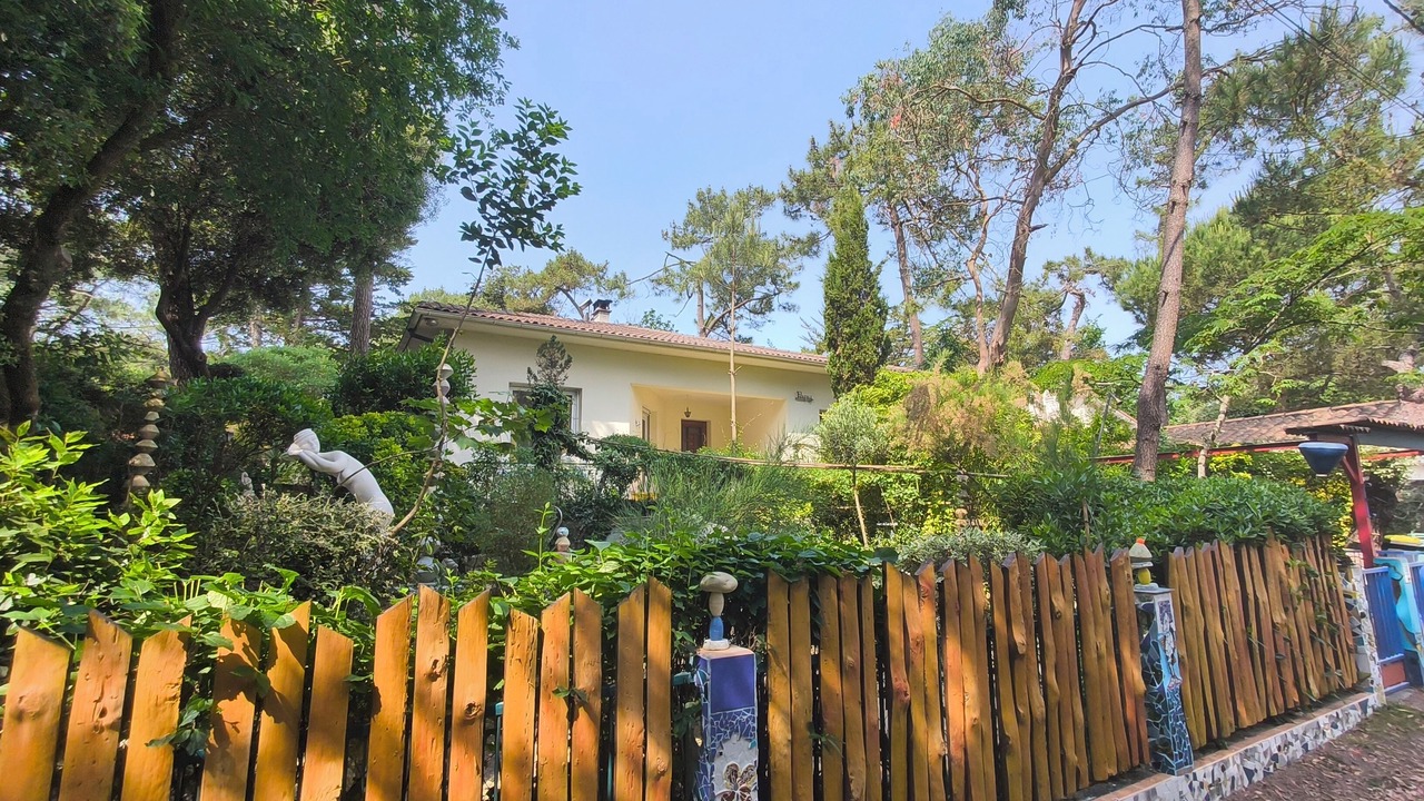 Photo of Outdoor in Ronce-les-Bains