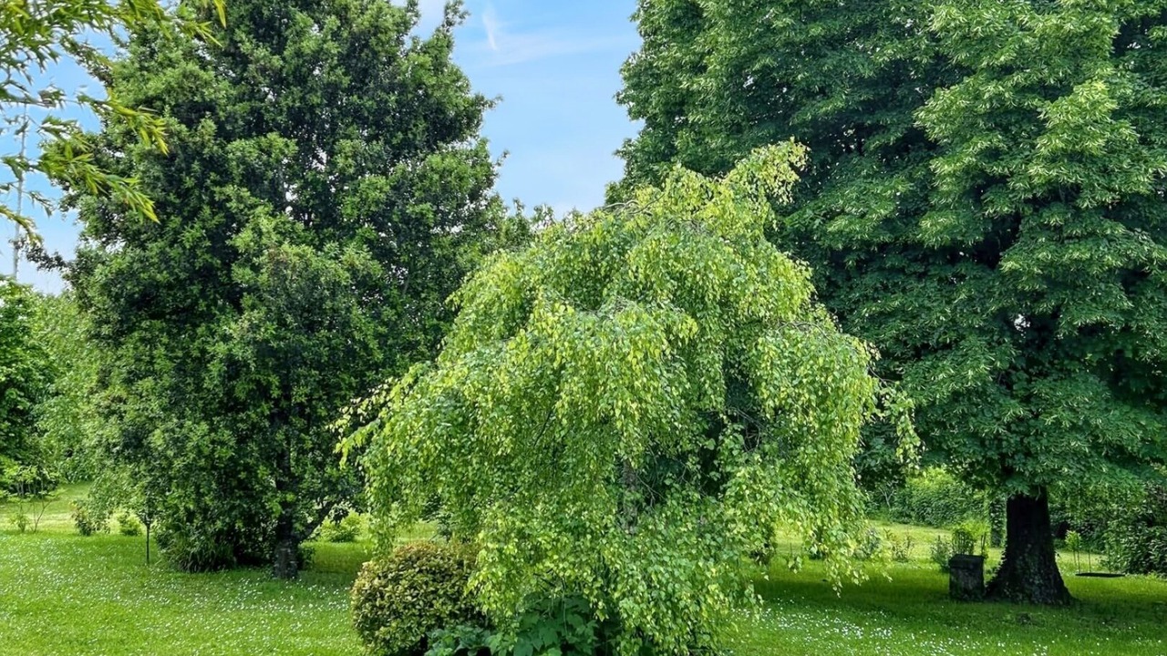 Photo of Outdoor in Sigogne