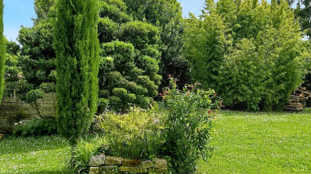 Photo of Outdoor in Sigogne