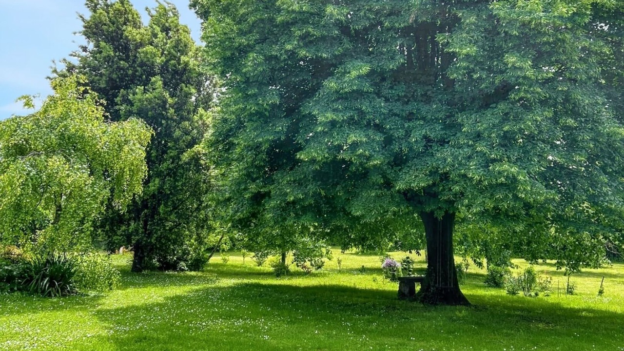 Photo of Outdoor in Sigogne
