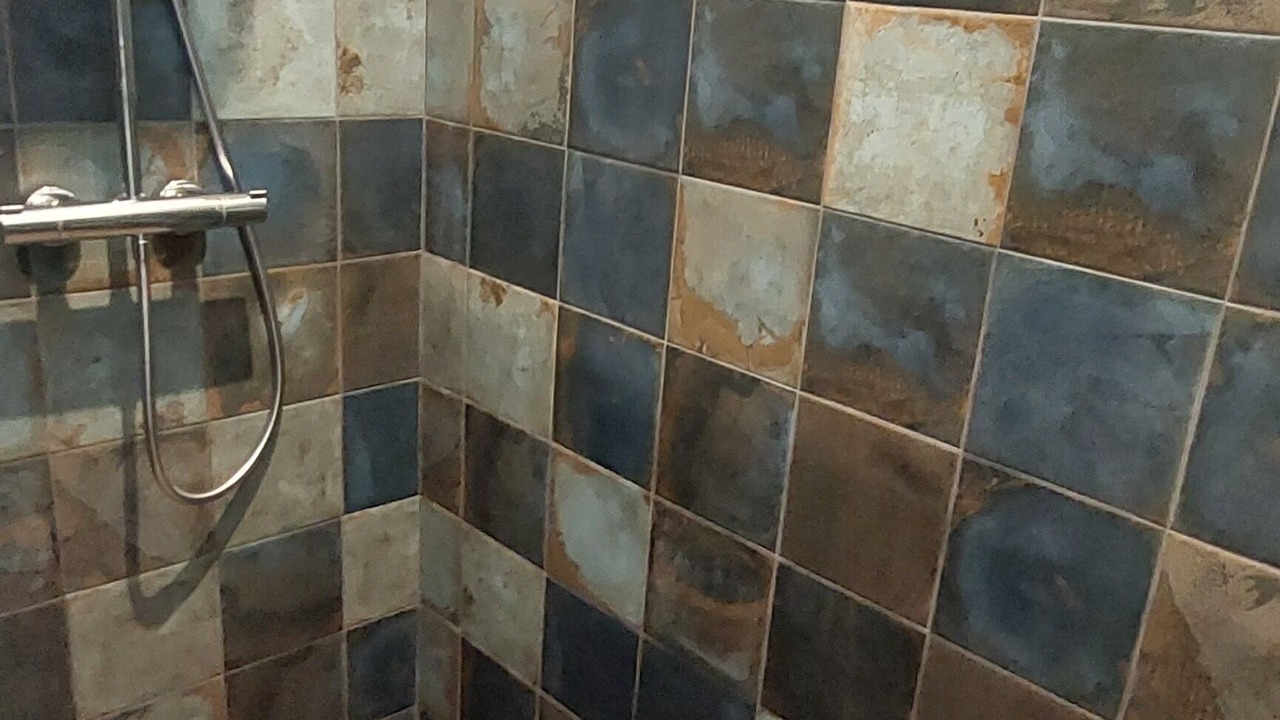 Photo of Bathroom in Saint-Clement-des-Baleines