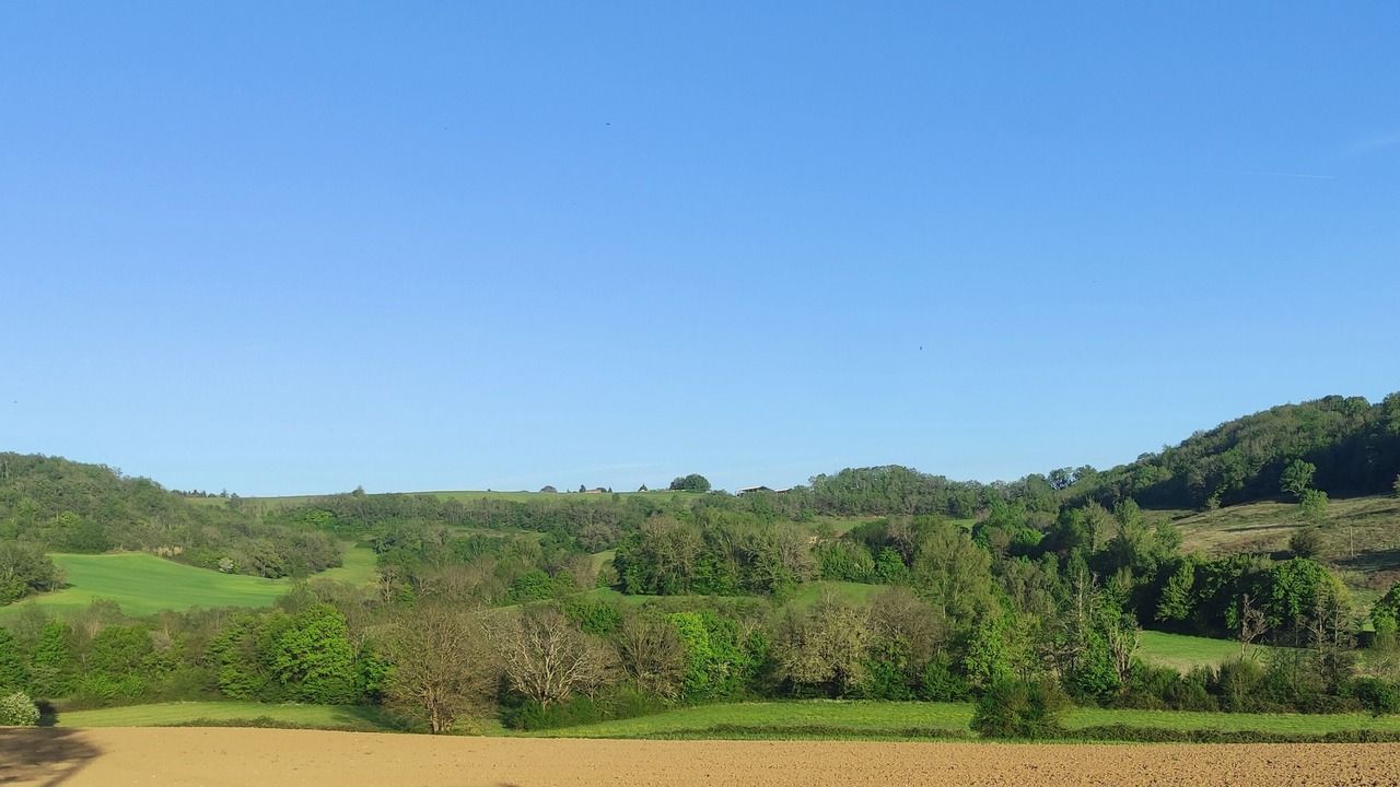 Photo of Others in Saint-Hilaire-de-Lusignan