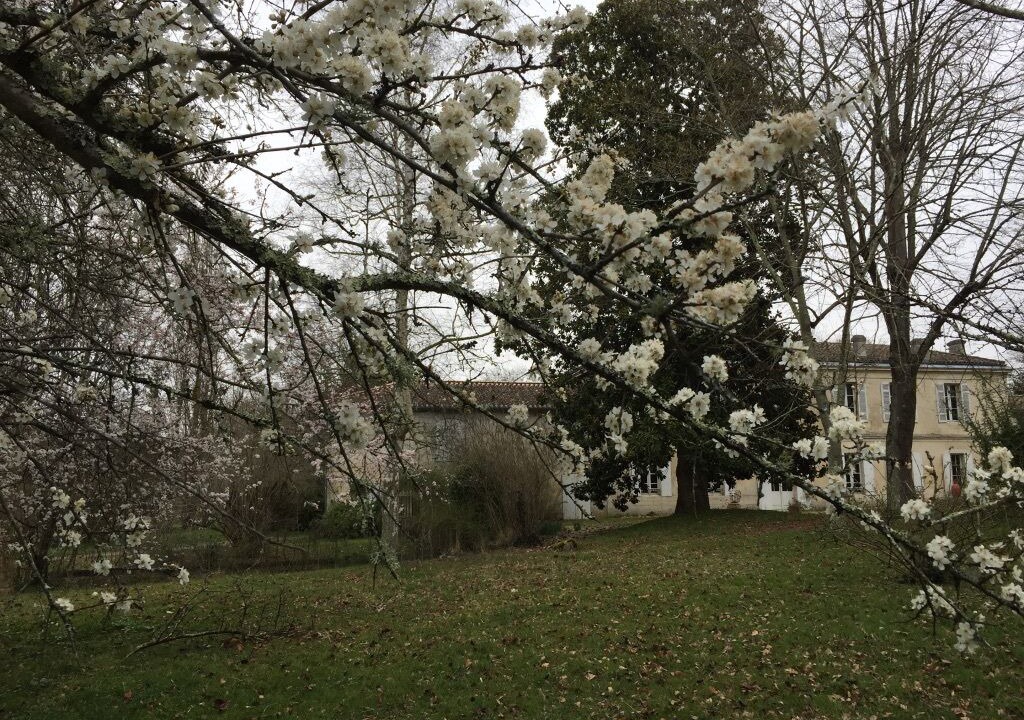 Photo of Outdoor in Saint-Sulpice-et-Cameyrac