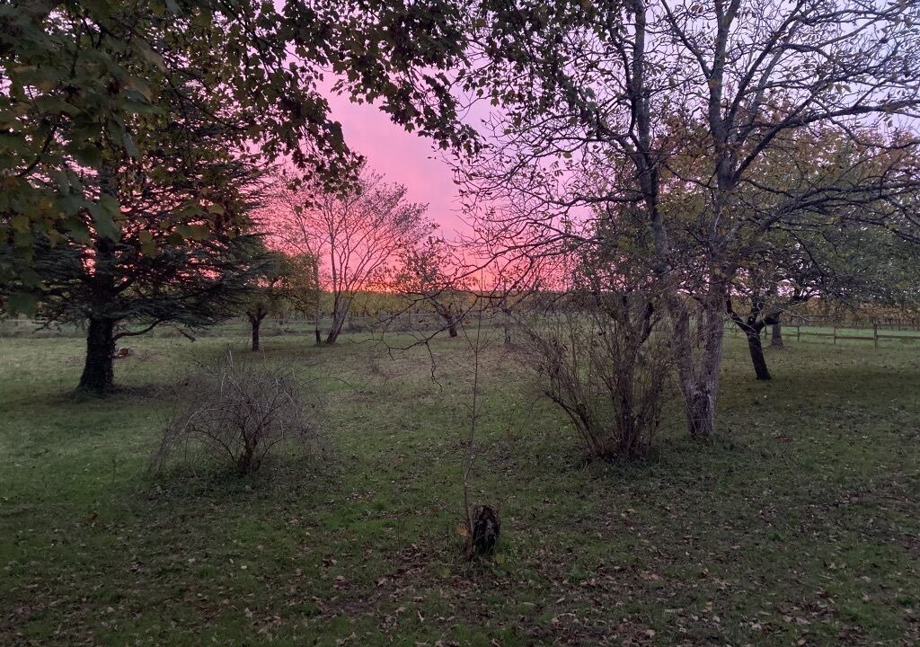 Photo of Outdoor in Saint-Sulpice-et-Cameyrac