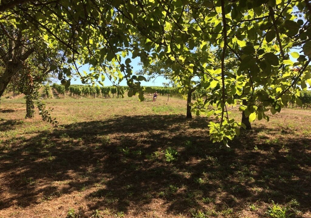 Photo of Outdoor in Saint-Sulpice-et-Cameyrac