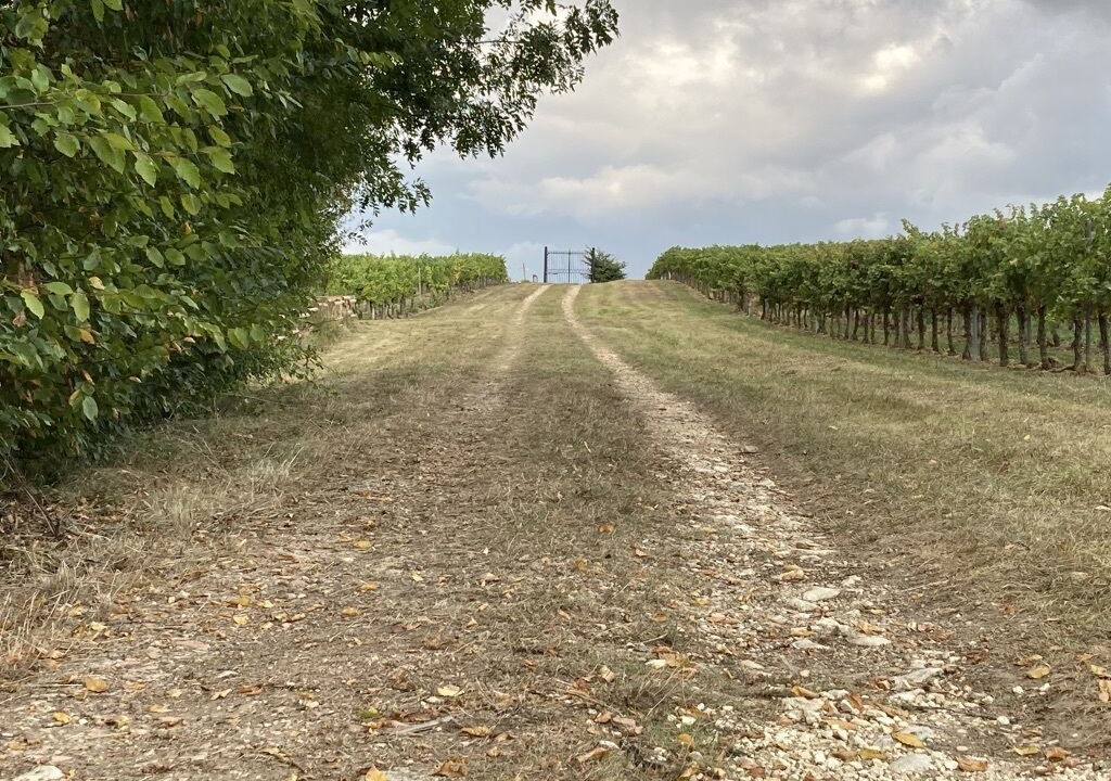 Photo of Outdoor in Saint-Sulpice-et-Cameyrac