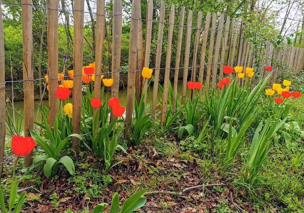 Photo of Outdoor in Saint-Sulpice-et-Cameyrac