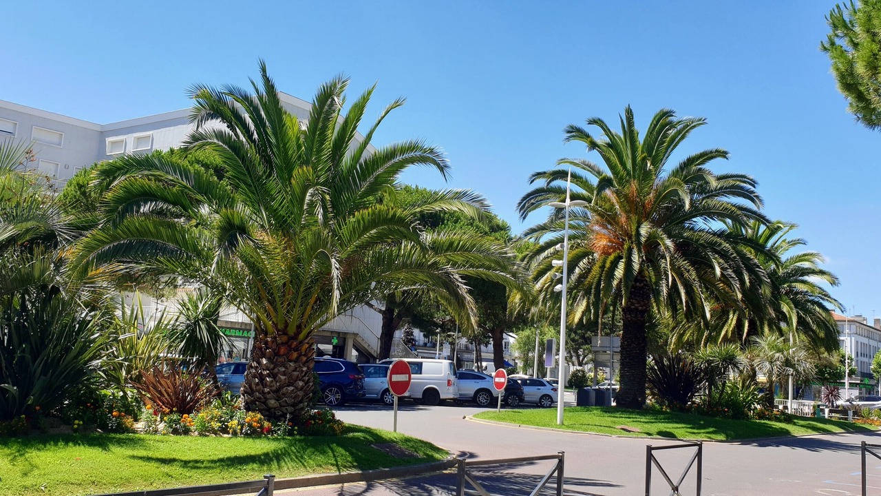 Photo of Others in Saint-Thomas-de-Conac