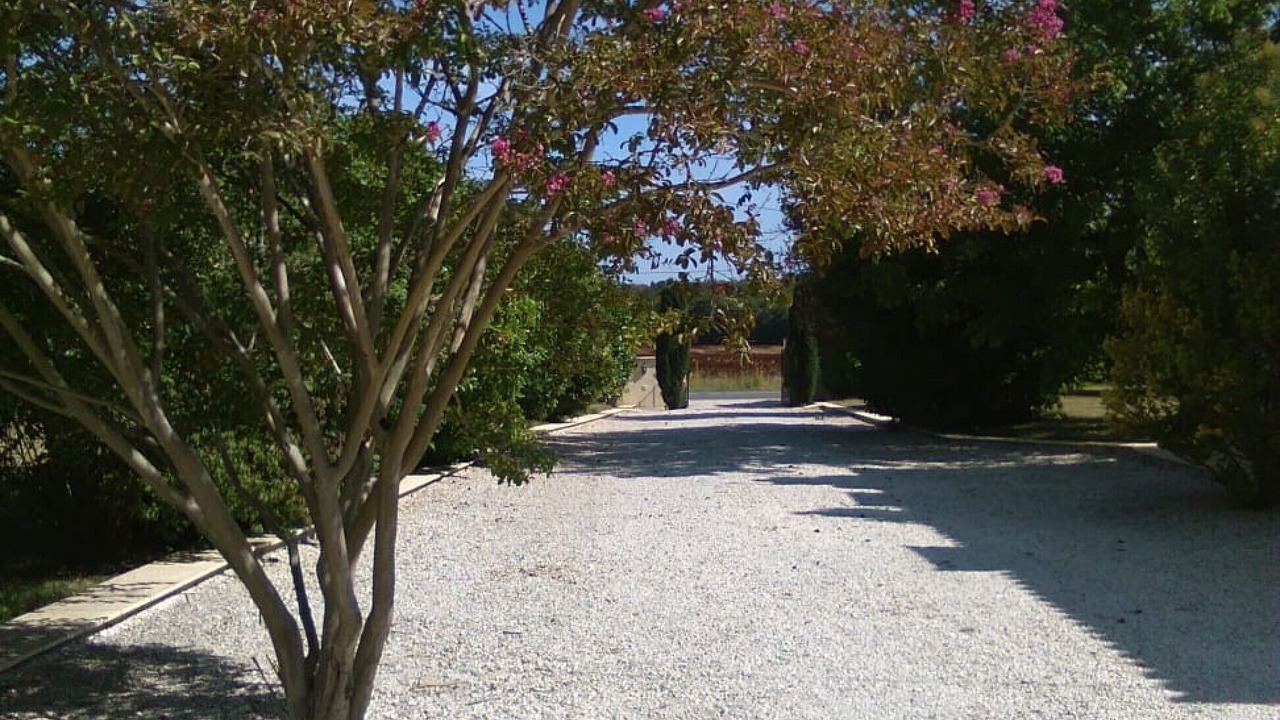 Photo of Others in Bournel