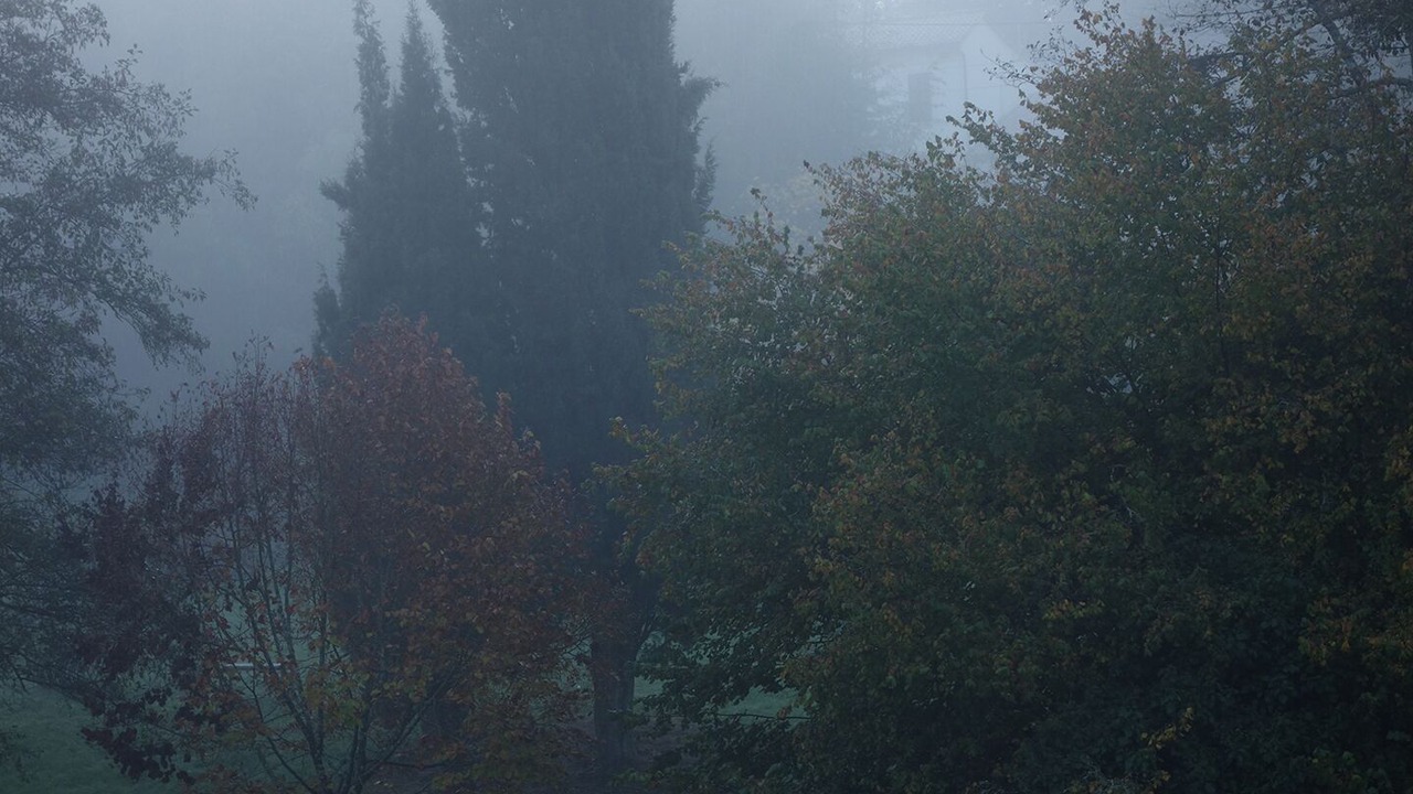 Photo of Outdoor in Saint-Vincent-de-Pertignas