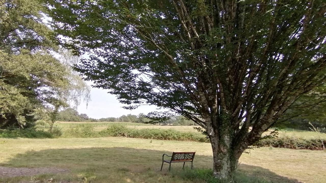Photo of Others in La Coquille