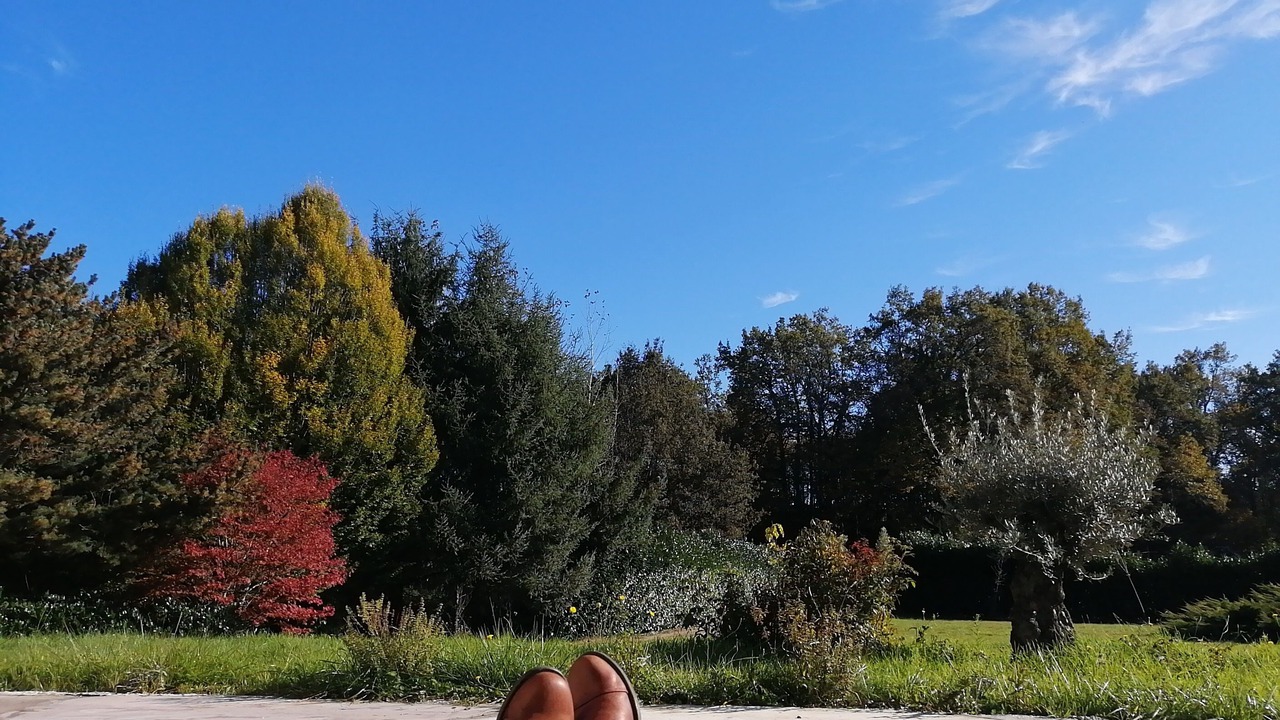 Photo of Others in La Coquille