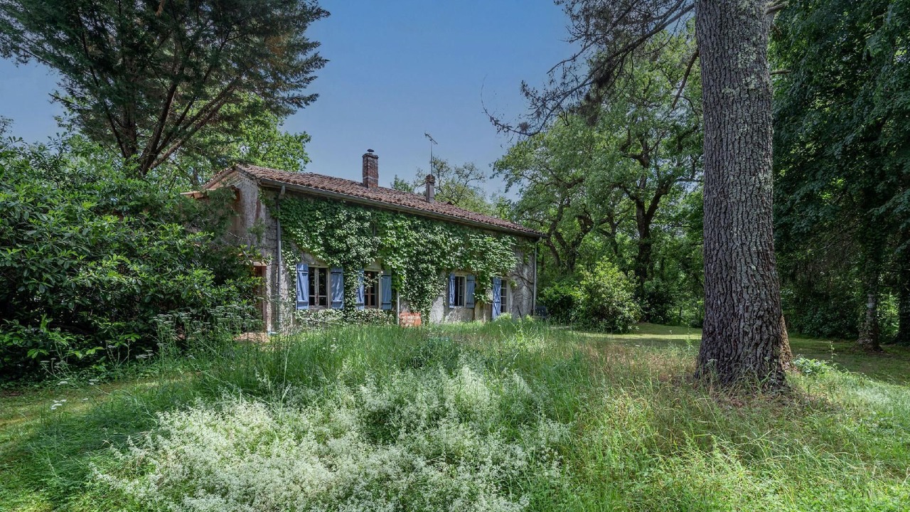 Photo of Outdoor in Moustey