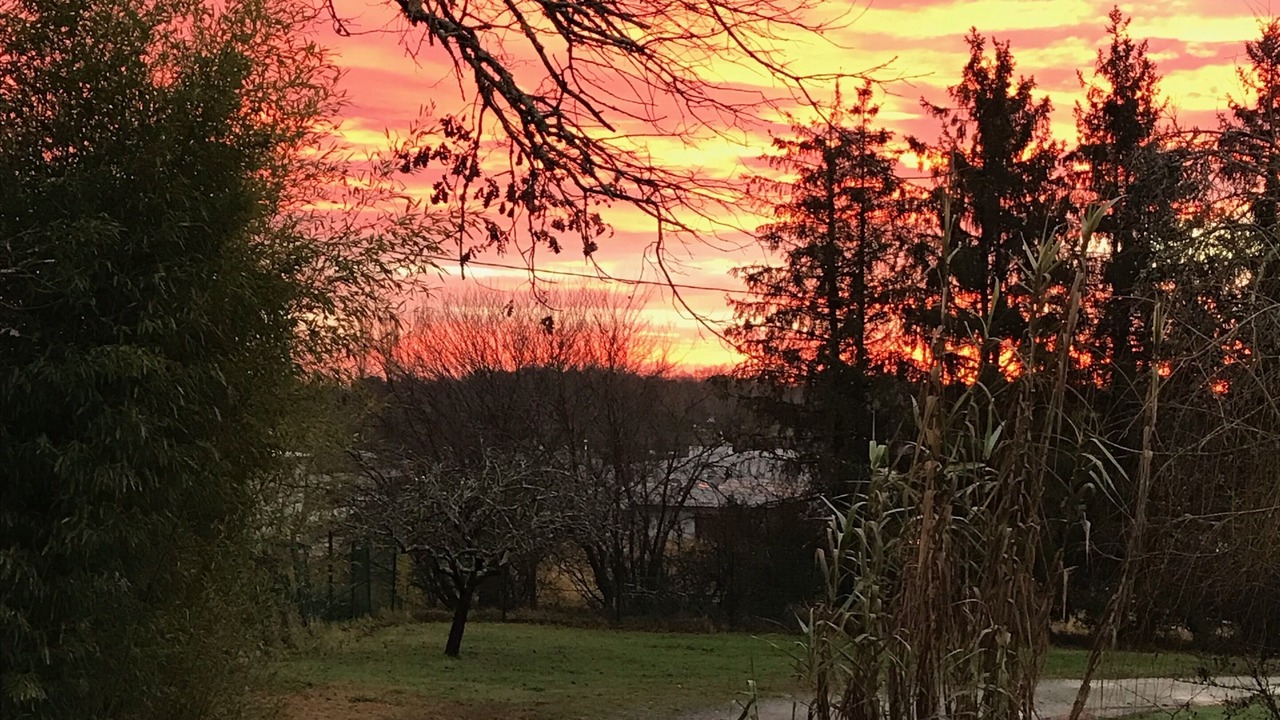 Photo of Outdoor in La Brede