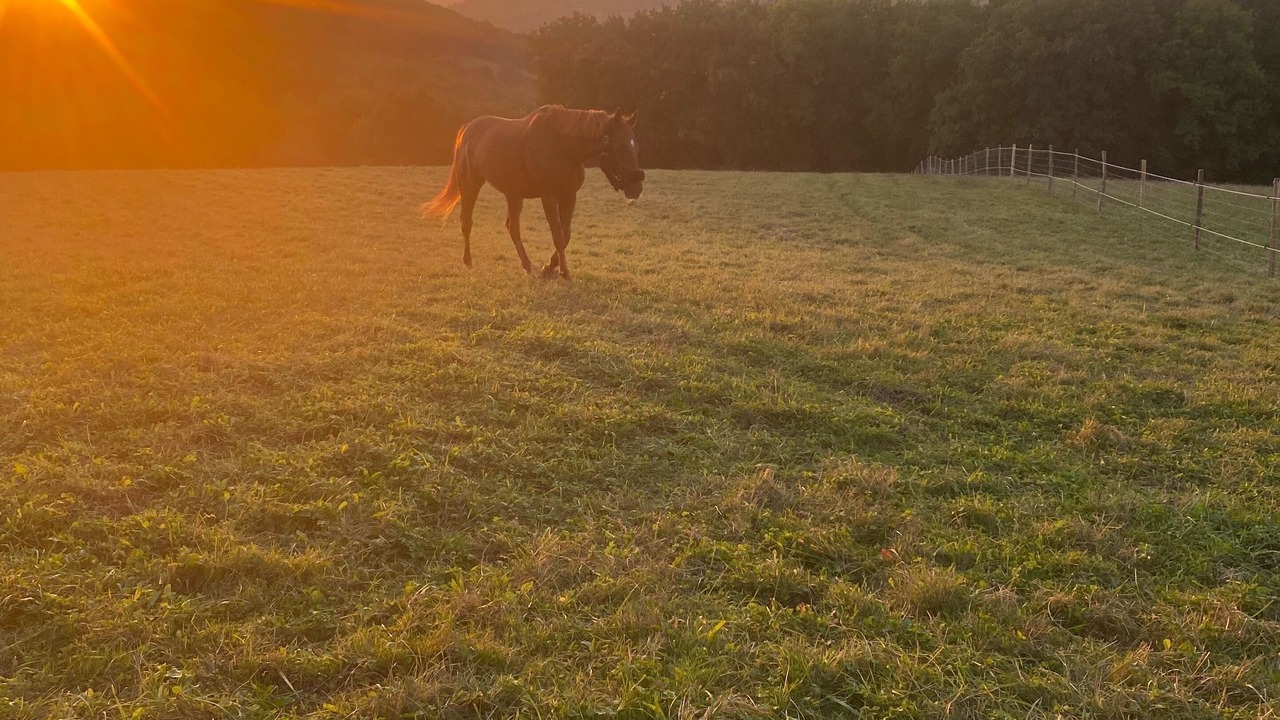 Photo of Outdoor in Clermont-Dessous