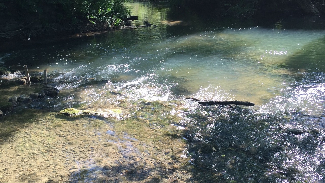 Photo of Outdoor in Combiers