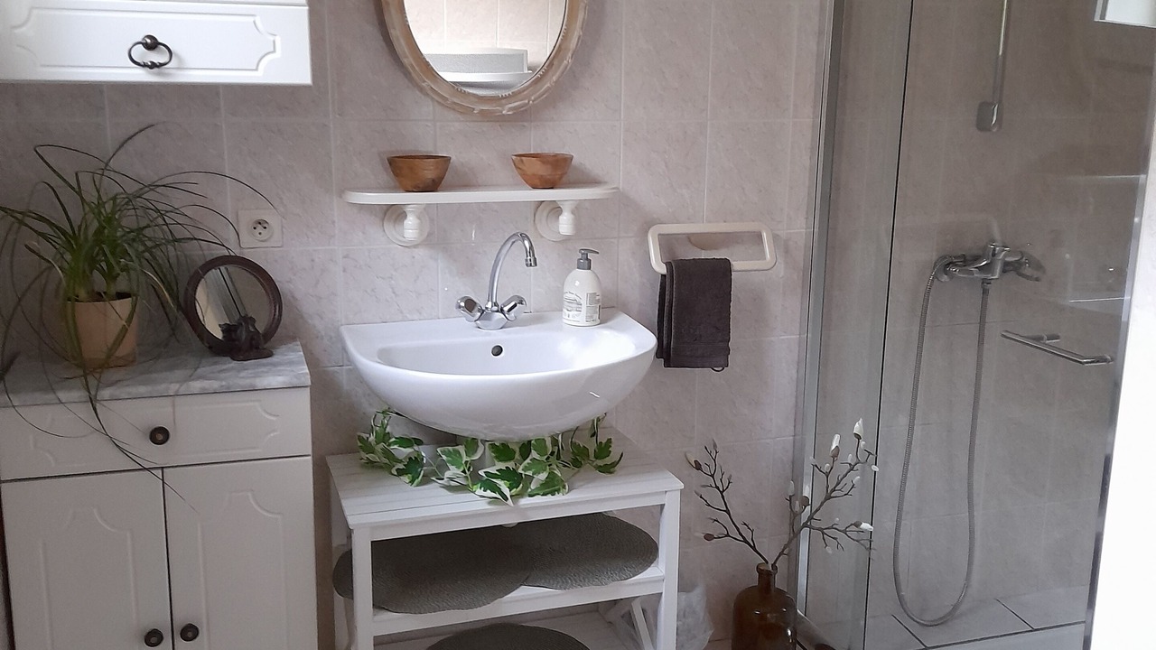 Photo of Bathroom in Charritte-de-Bas