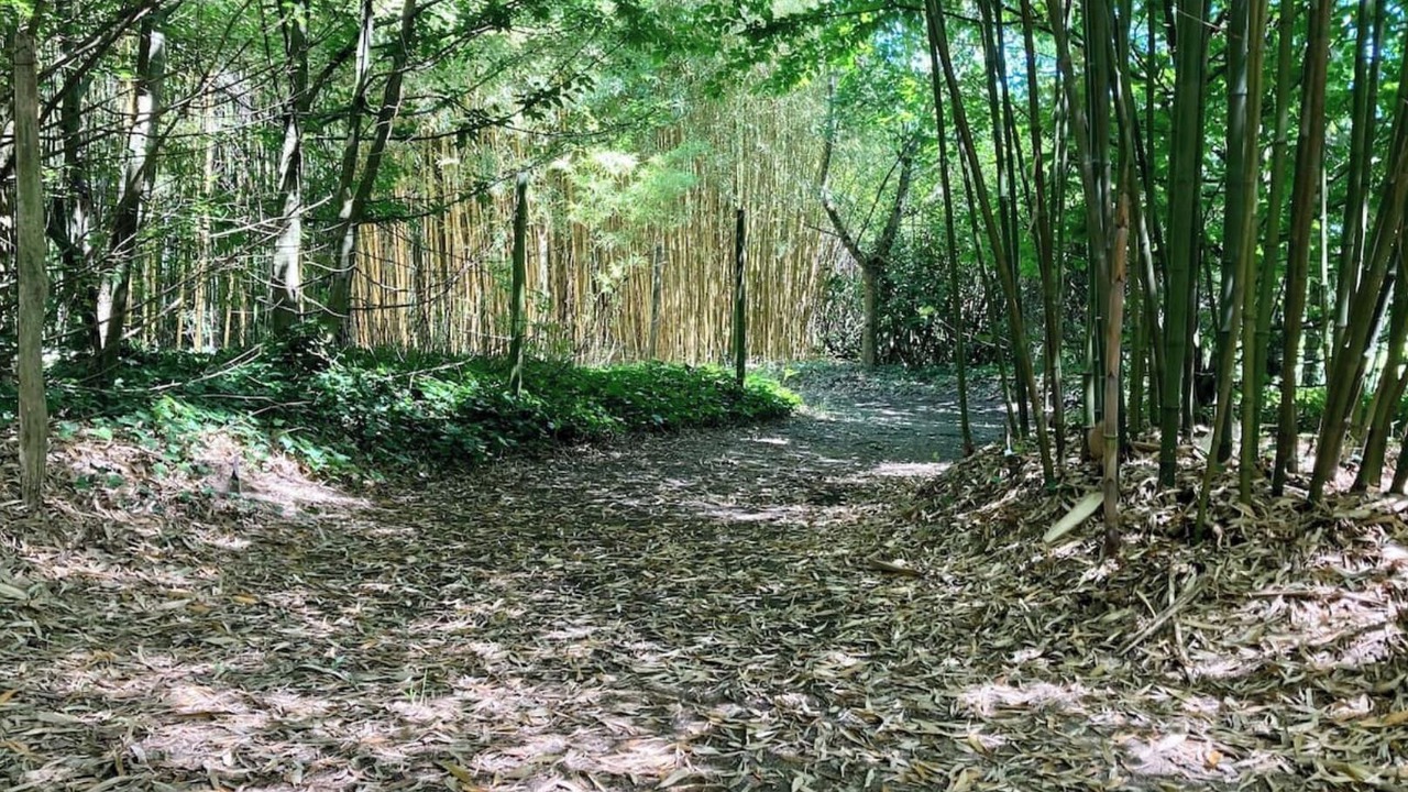 Photo of Outdoor in Laruscade
