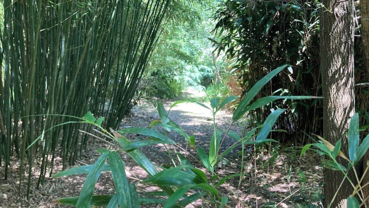 Photo of Outdoor in Laruscade