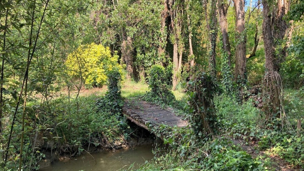 Photo of Outdoor in Laruscade