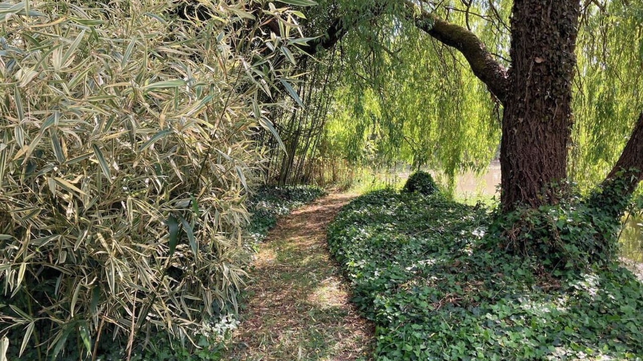 Photo of Outdoor in Laruscade