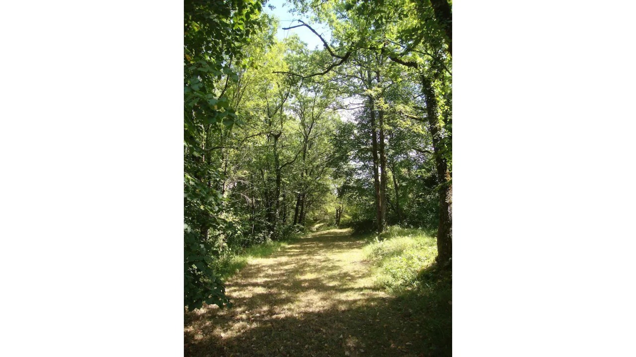 Photo of Outdoor in Saint-Just