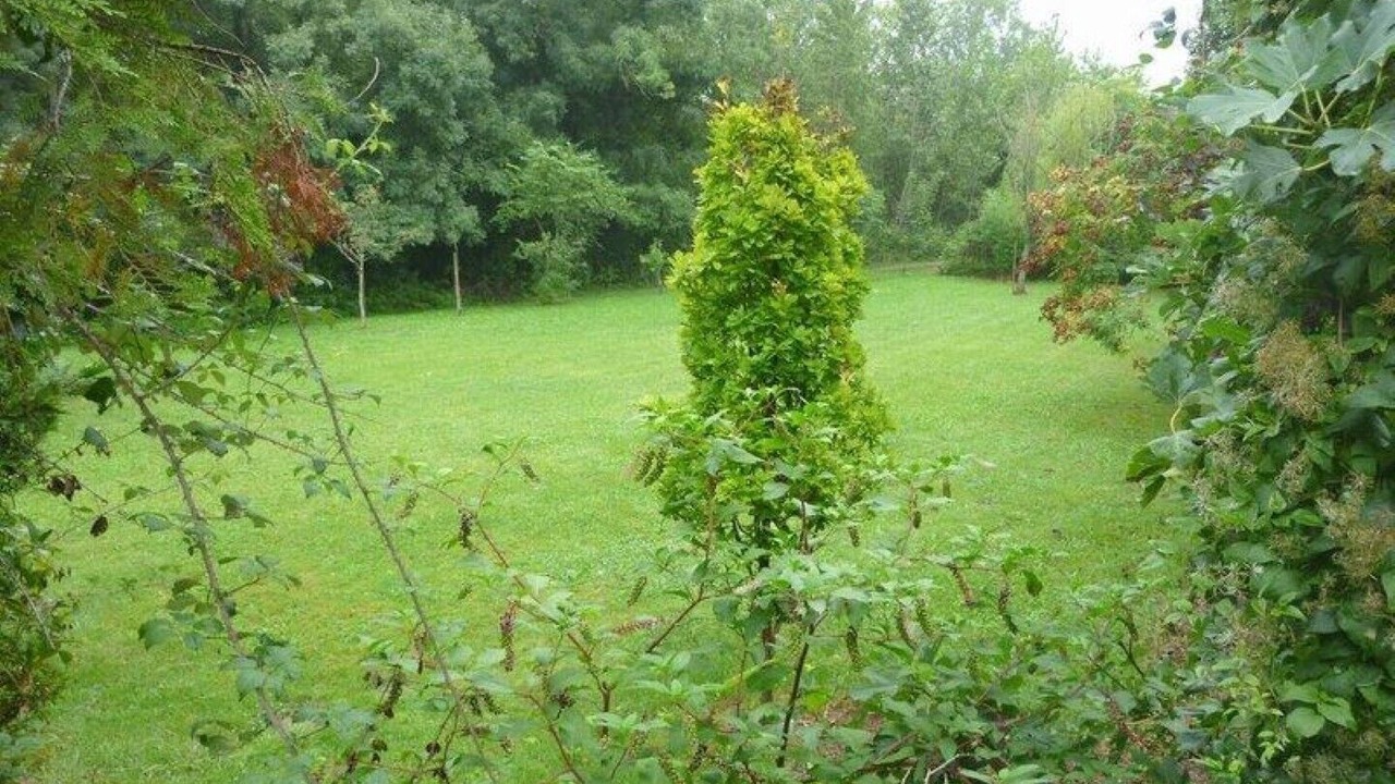 Photo of Outdoor in Aubeterre-sur-Dronne