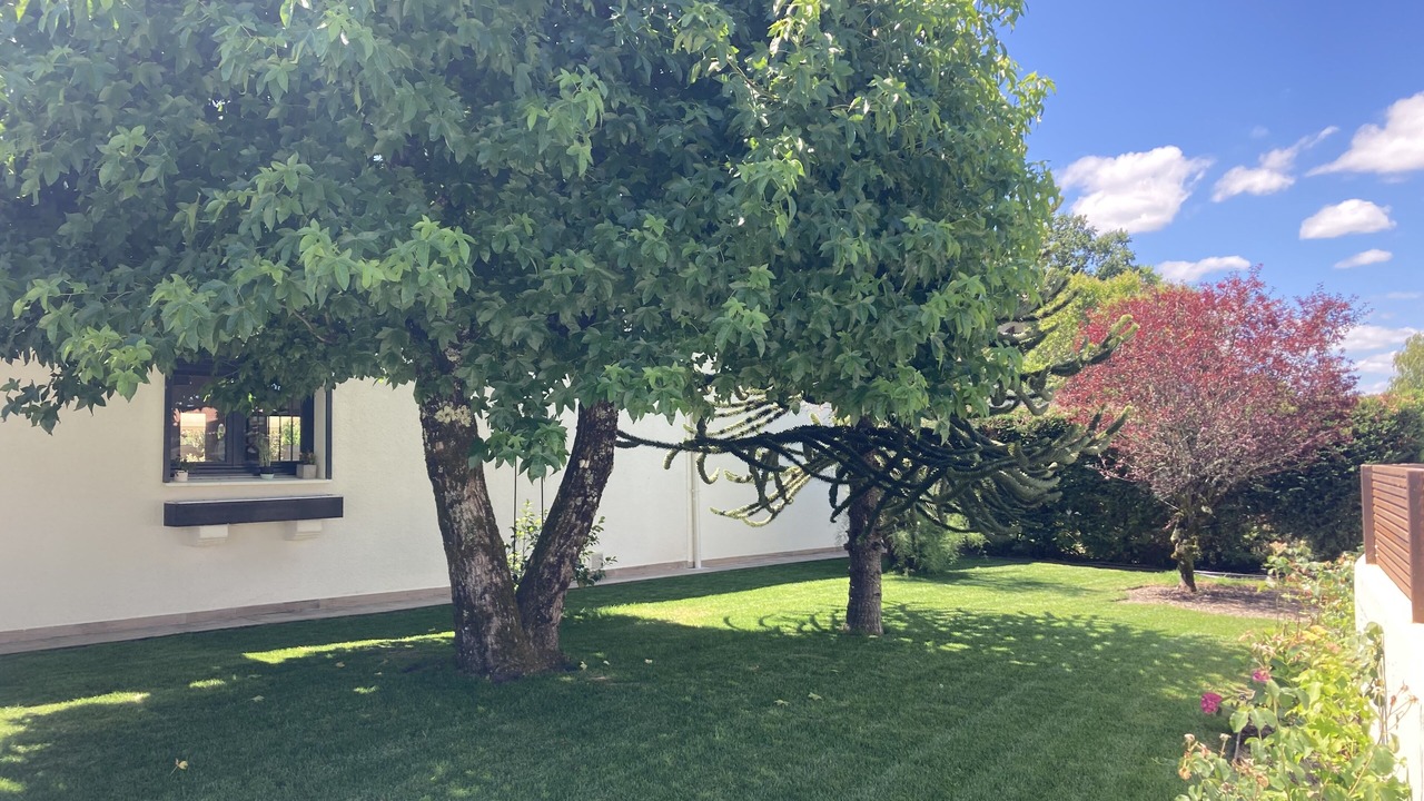 Photo of Outdoor in Pessac