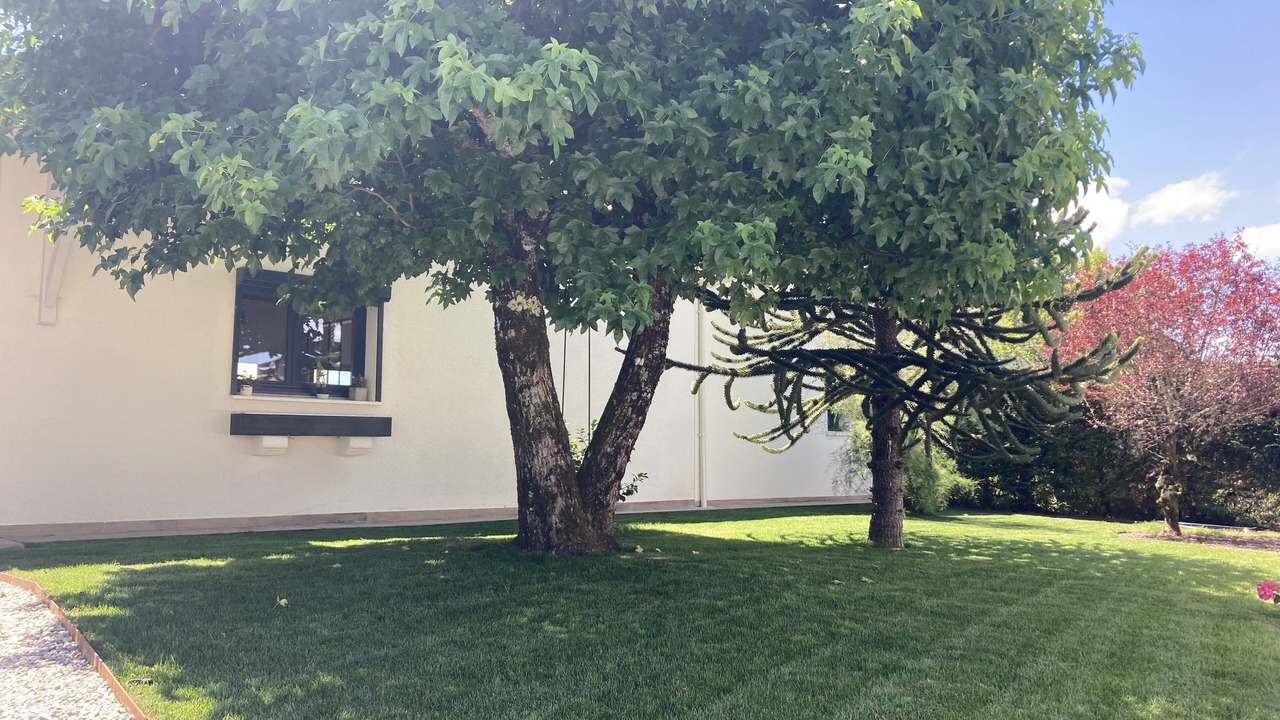 Photo of Outdoor in Pessac