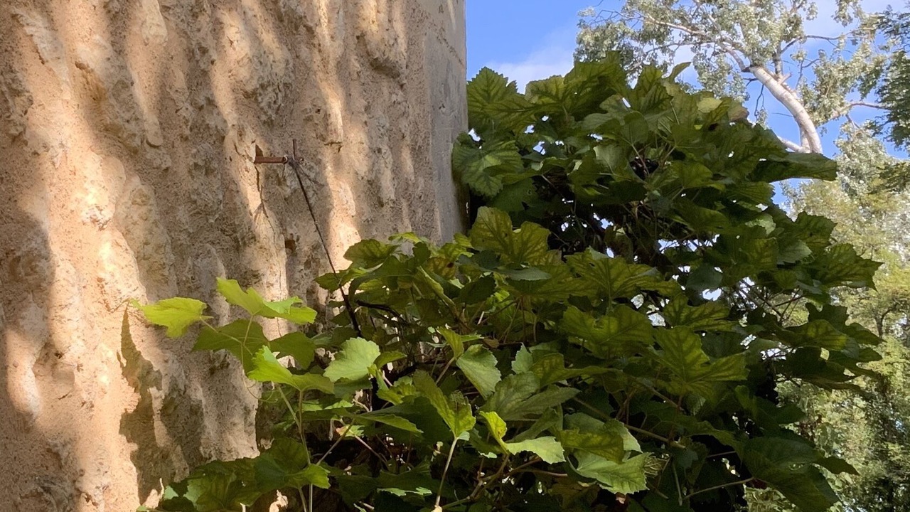 Photo of Outdoor in Fouleix