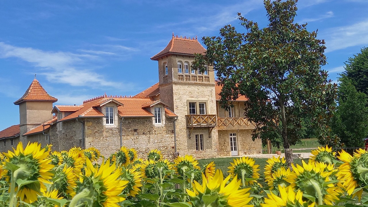 Photo of Outdoor in Feugarolles