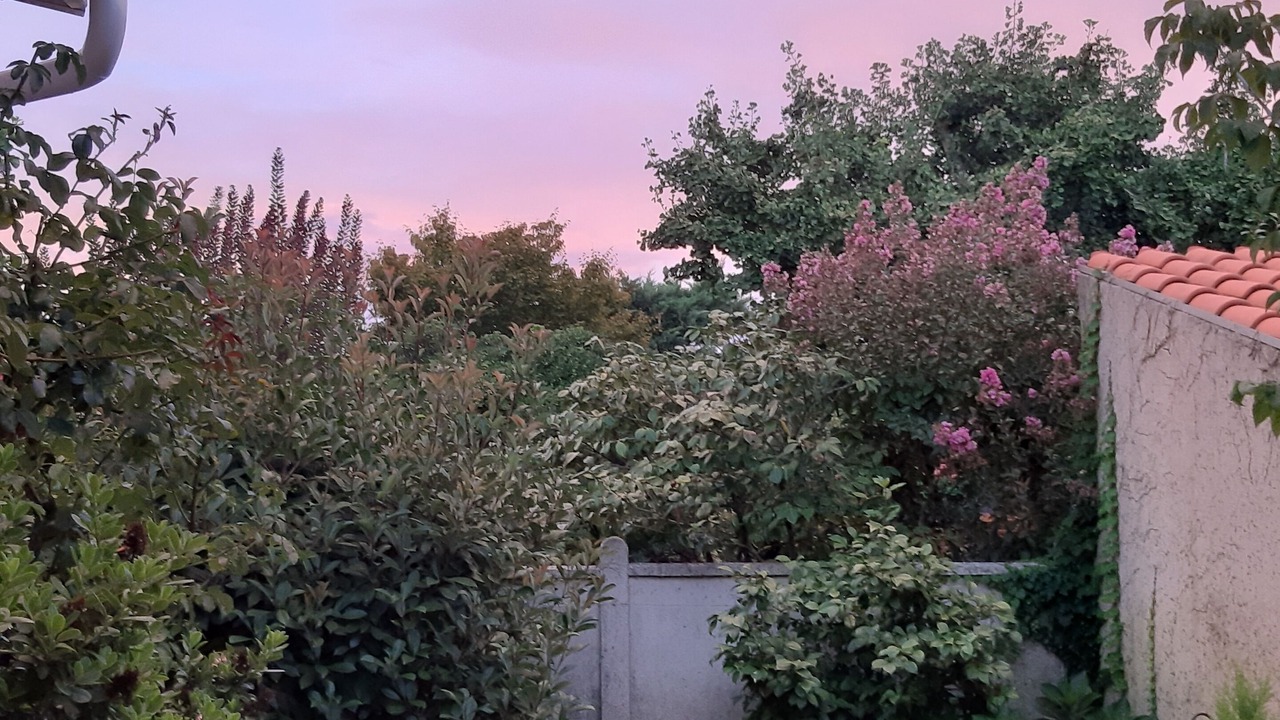 Photo of Outdoor in Victor Hugo - Saint-Augustin