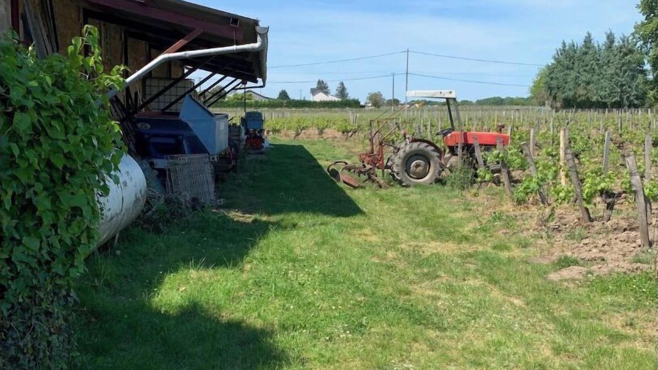 Photo of Outdoor in Saint-Magne-de-Castillon