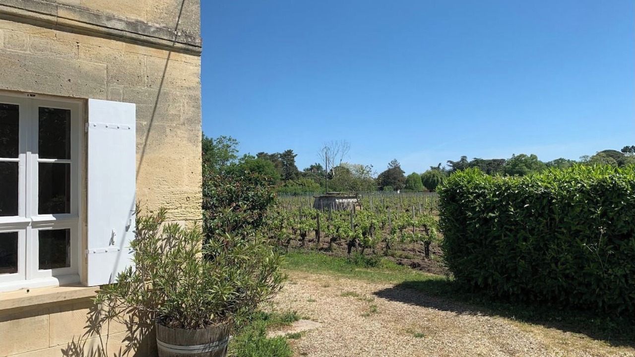 Photo of Outdoor in Saint-Magne-de-Castillon