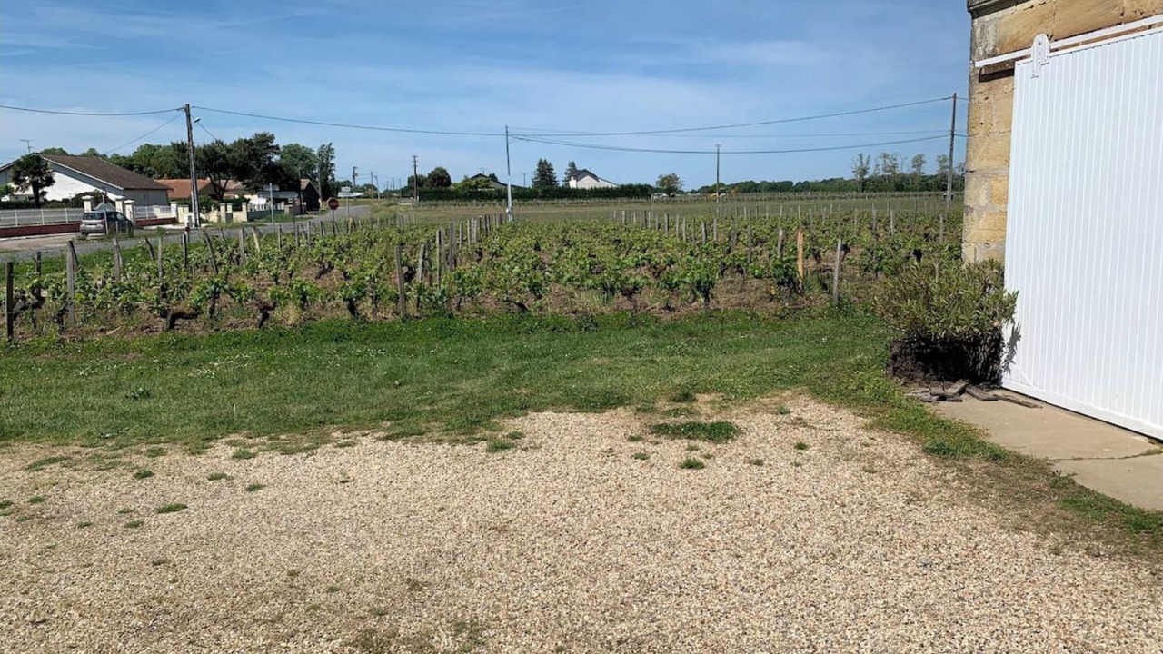 Photo of Outdoor in Saint-Magne-de-Castillon