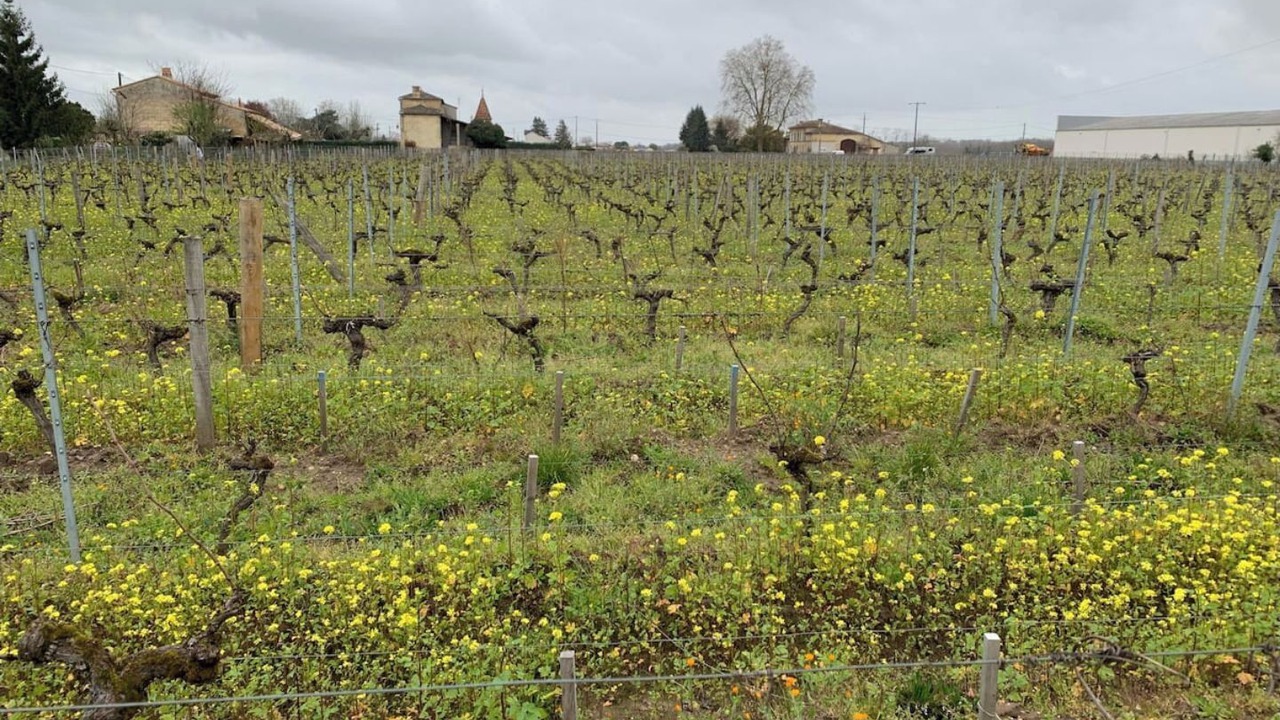 Photo of Outdoor in Saint-Magne-de-Castillon