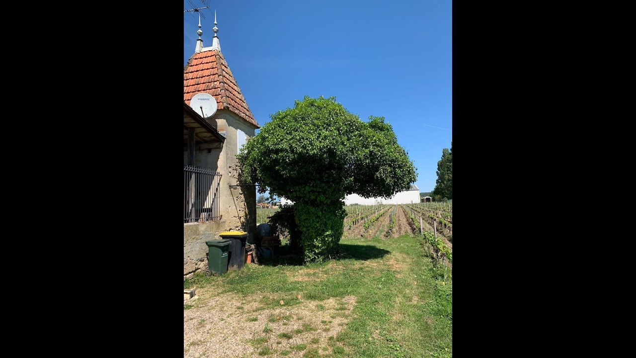 Photo of Outdoor in Saint-Magne-de-Castillon