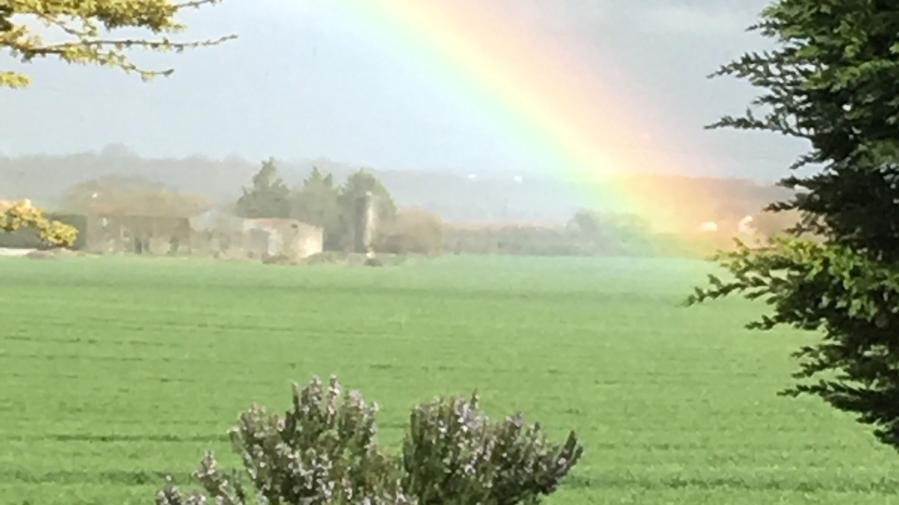 Photo of Others in Marsilly