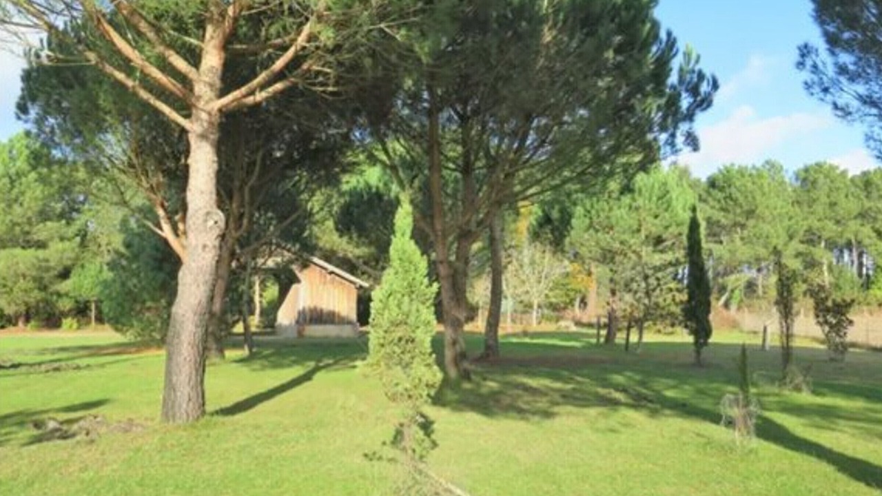 Photo of Outdoor in Messanges