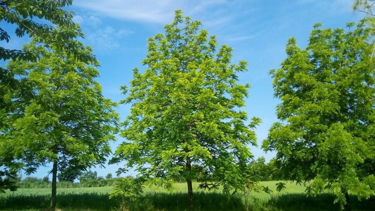 Photo of Outdoor in La Bataille