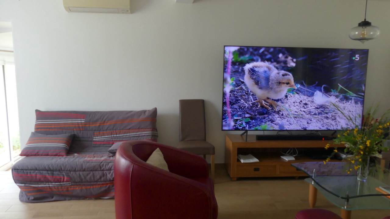 Photo of Livingroom in Saint-Augustin