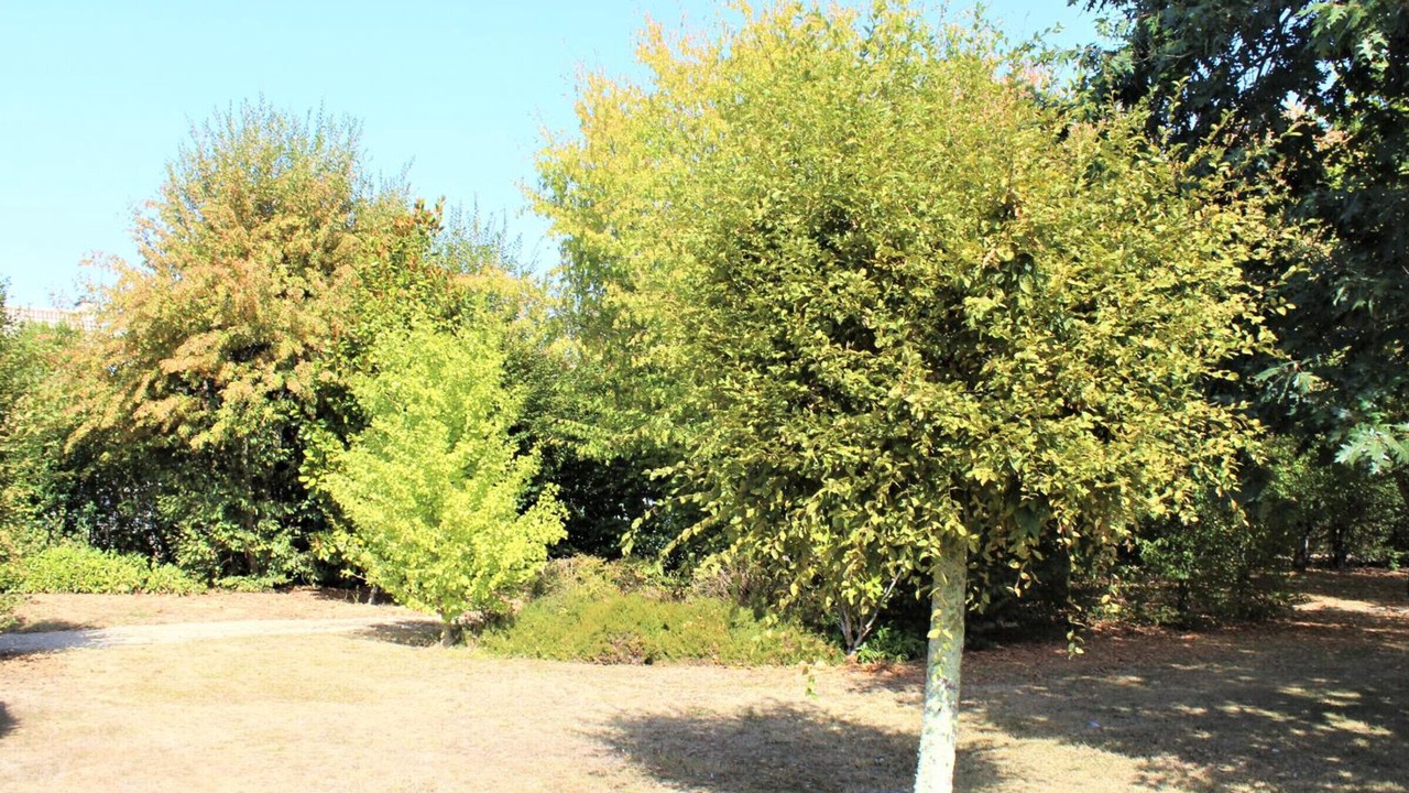 Photo of Outdoor in Pazayac