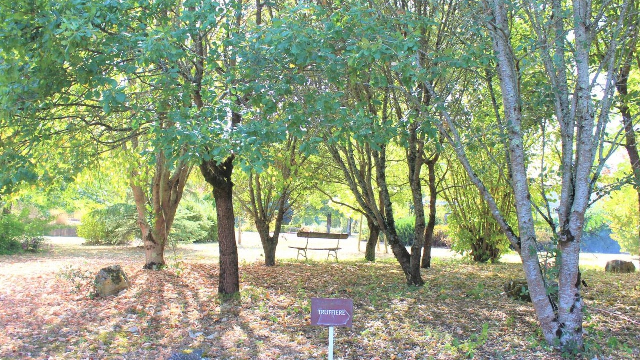 Photo of Outdoor in Pazayac