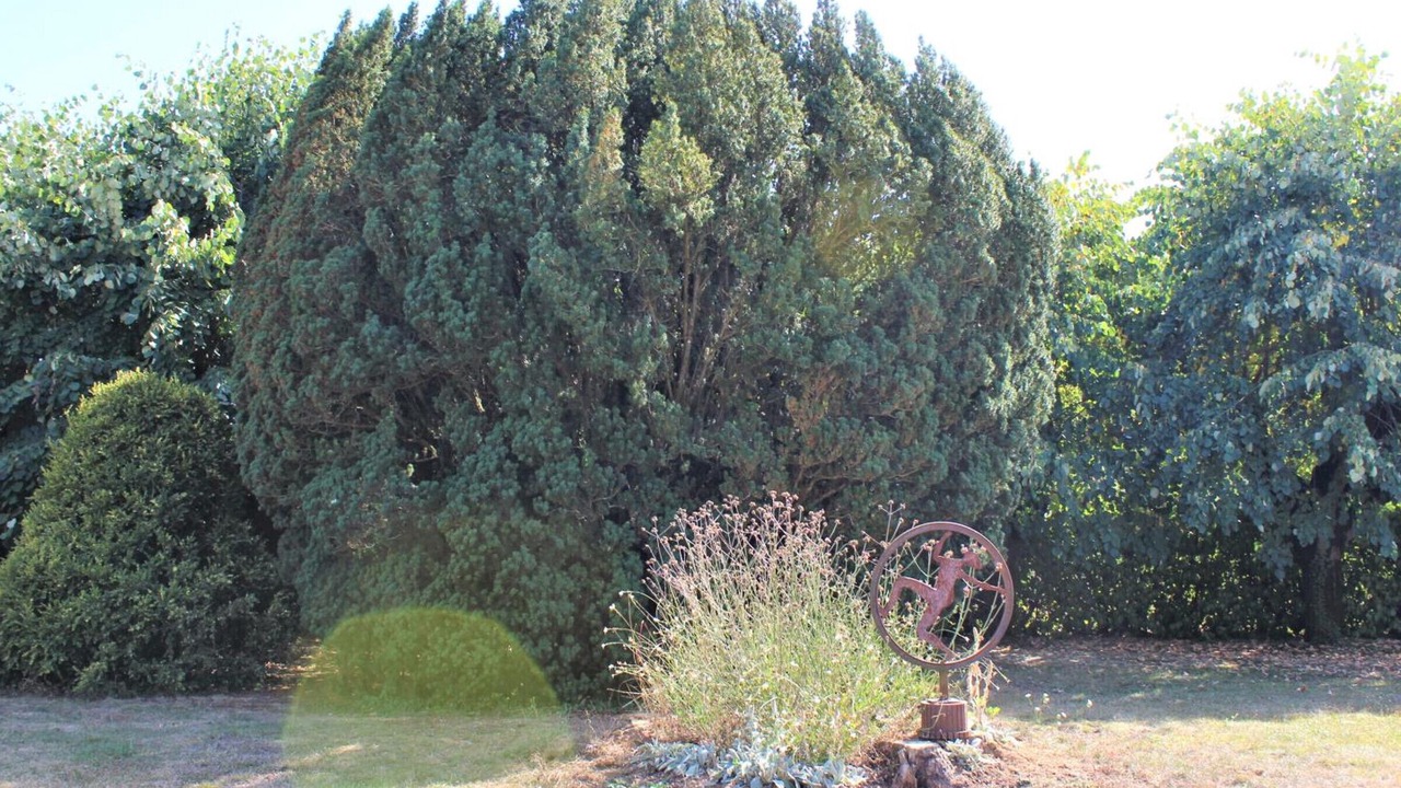 Photo of Outdoor in Pazayac