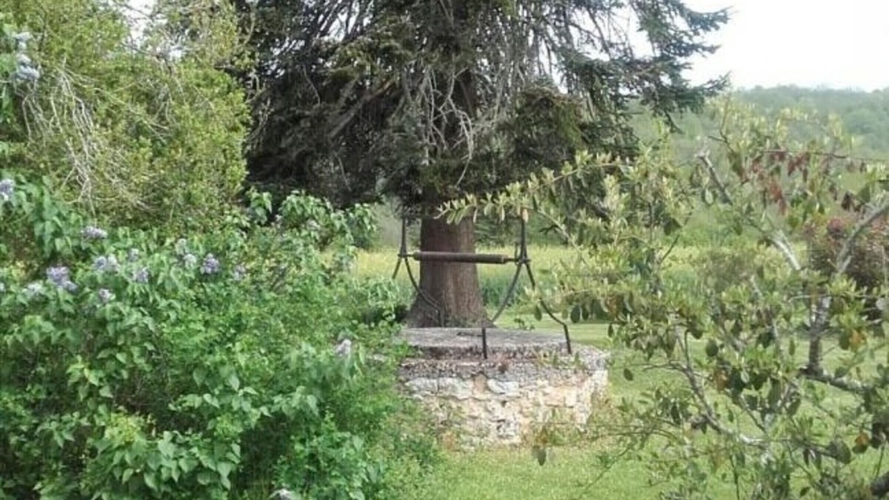 Photo of Outdoor in Saint-Avit-Riviere