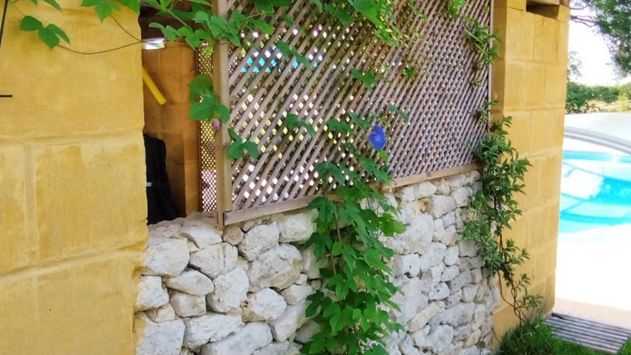 Photo of Outdoor in Naussannes