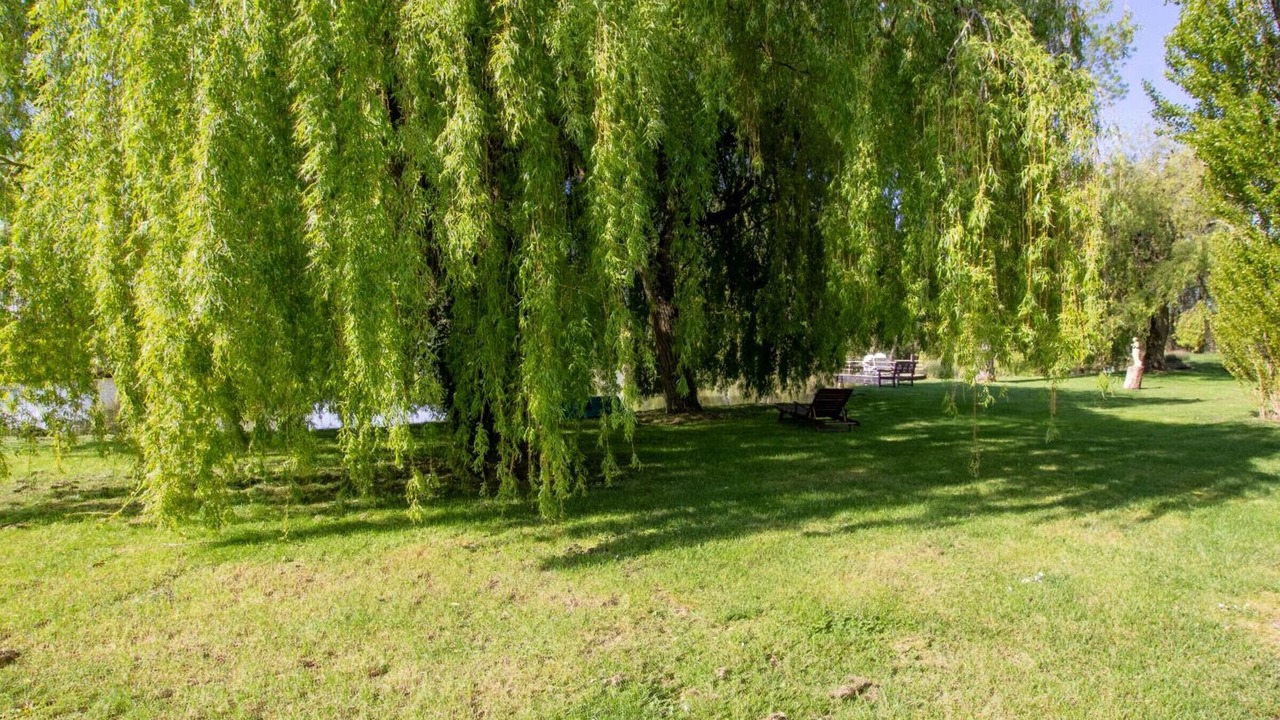 Photo of Outdoor in Naussannes