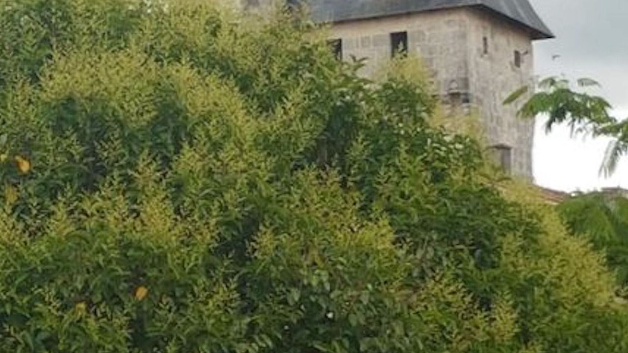 Photo of Outdoor in Saint-Jean-d'Angely