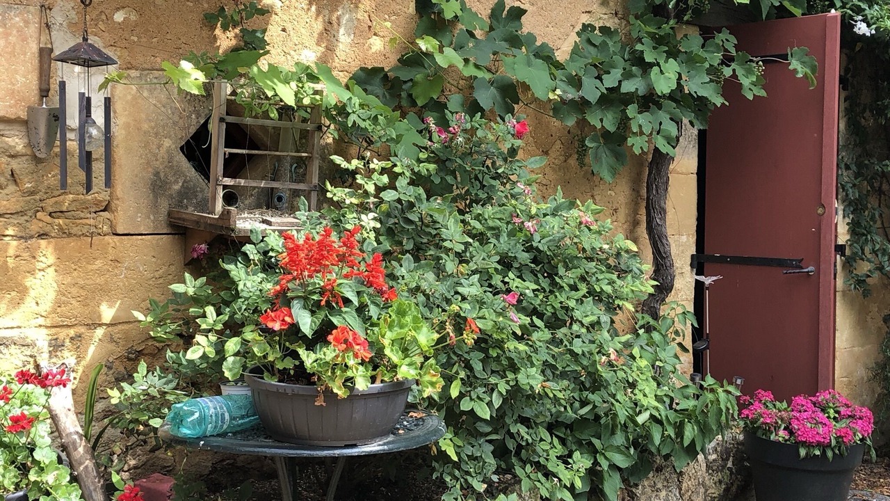 Photo of Outdoor in Sainte-Alvere